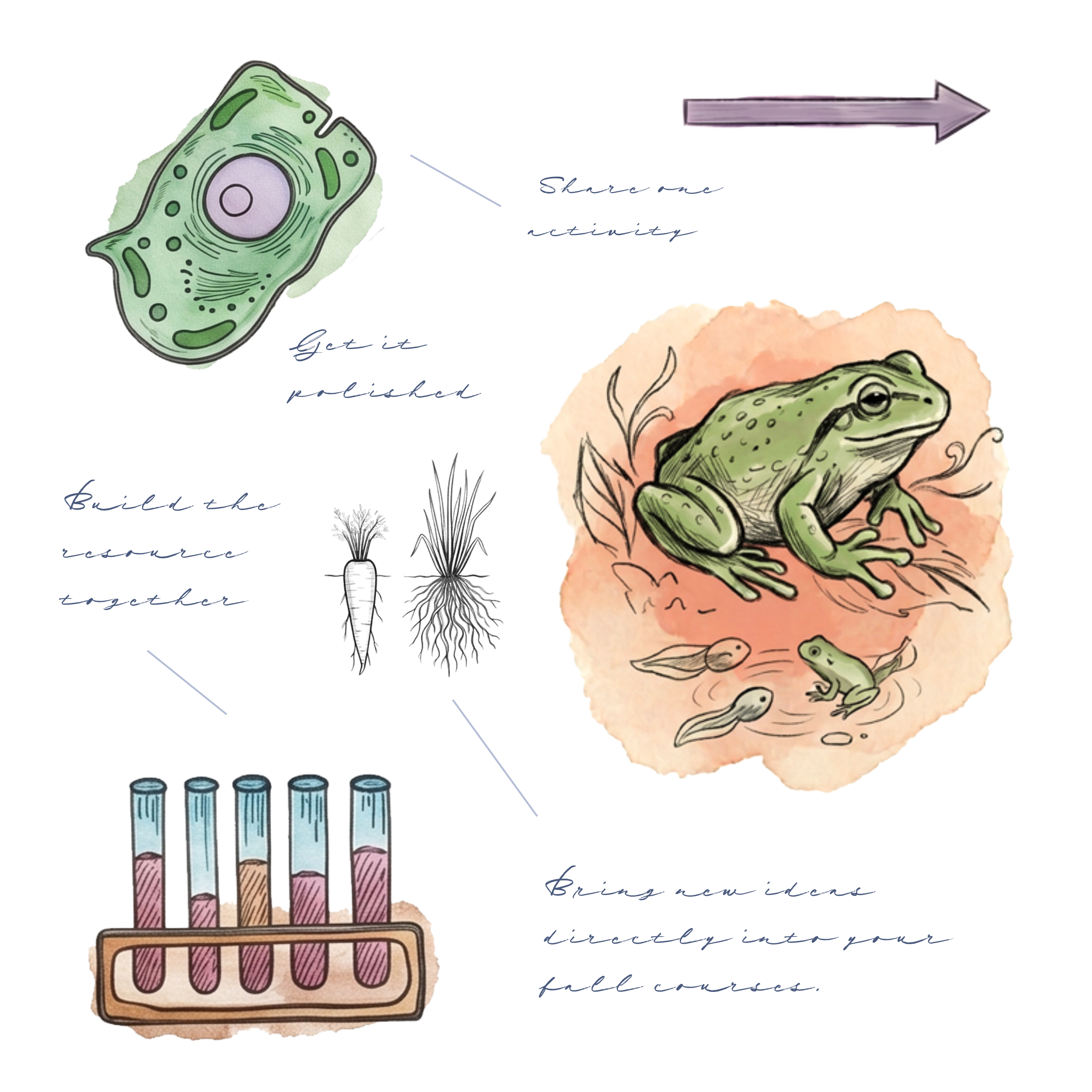 Biology collage with frog, test tubes, and vegetables